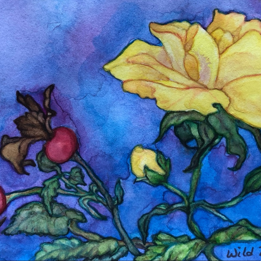 “Wild Rose hips” Watercolor Notecard